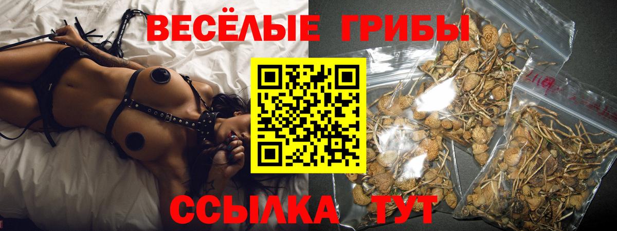 Миасс  Галлюциногенные грибы Psilocybine cubensis  Вход с VPN 