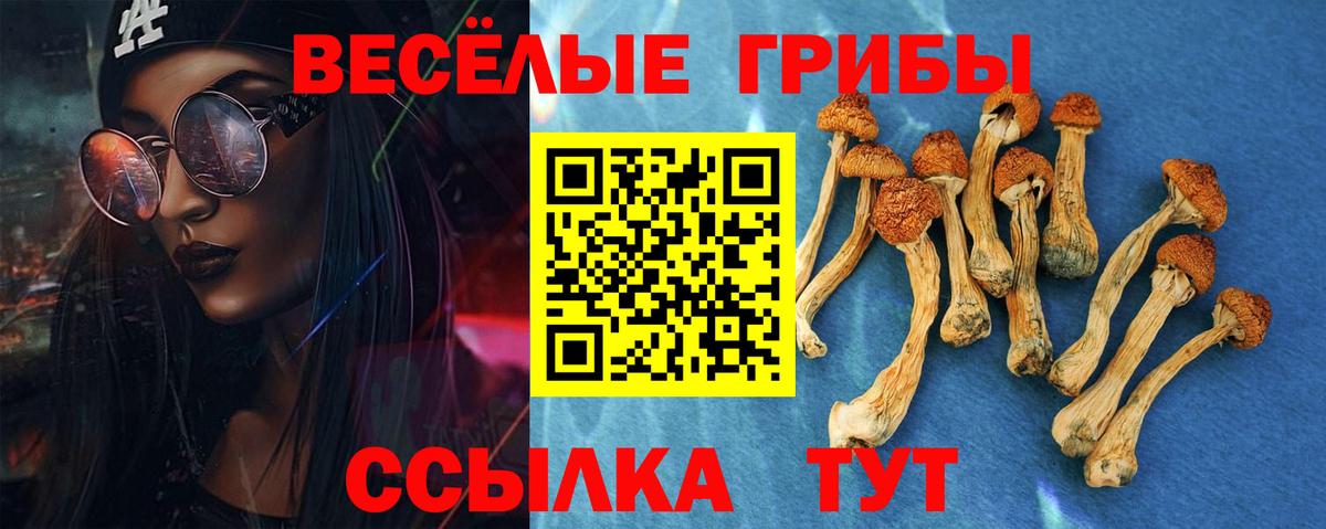 Галлюциногенные грибы Magic Shrooms Миасс